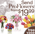 Proflowers Shopping Deal