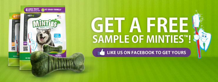 Free Minties Treats Samples