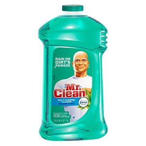 Mr. Clean Coupons