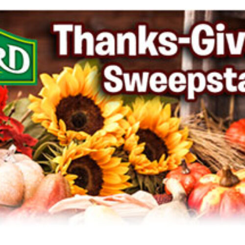Old Orchard: Thanks-Giveaway Free Juice Sweepstakes