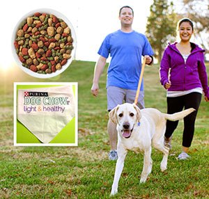 Free Purina Dog Chow Light & Healthy Samples + Dog Bandana