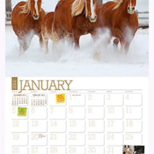 Free Ultimate Horse Care Calendar