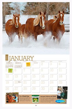 Free Horse Care Calendar