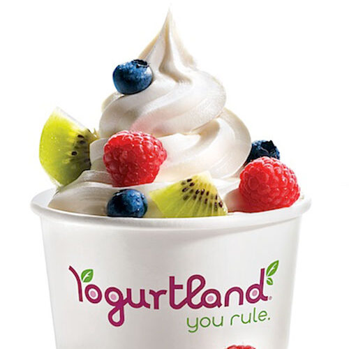 Yogurtland: Free Frozen Yogurt & Spoon