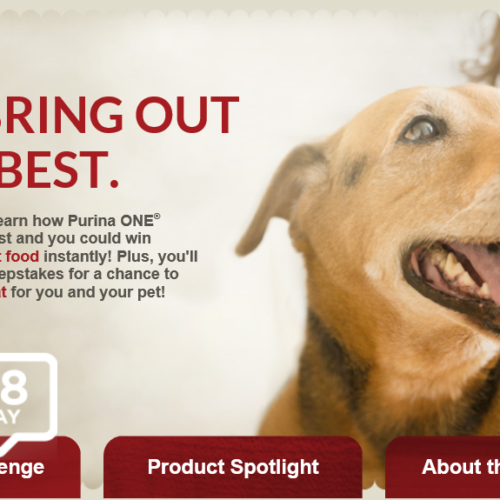 Kroger Joyful Pet Moments: Win Free Pet Food