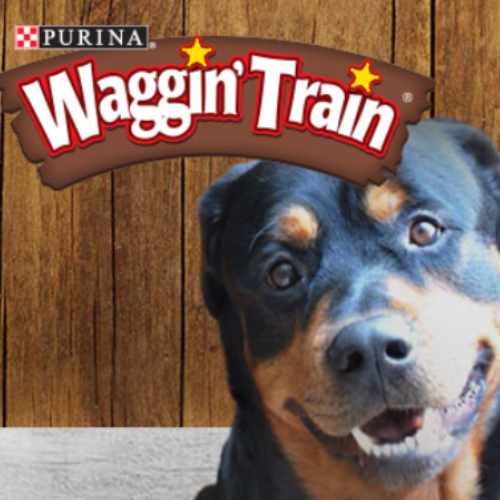 Purina Wagon Train: Win A $10 Target Gift Card