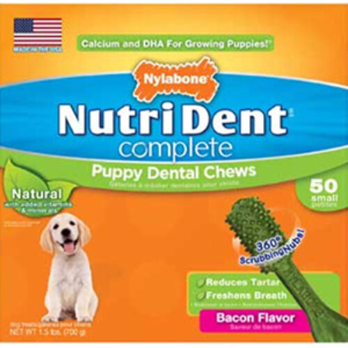 Nylabone Sweepstakes: Win $300 in NutriDent Products