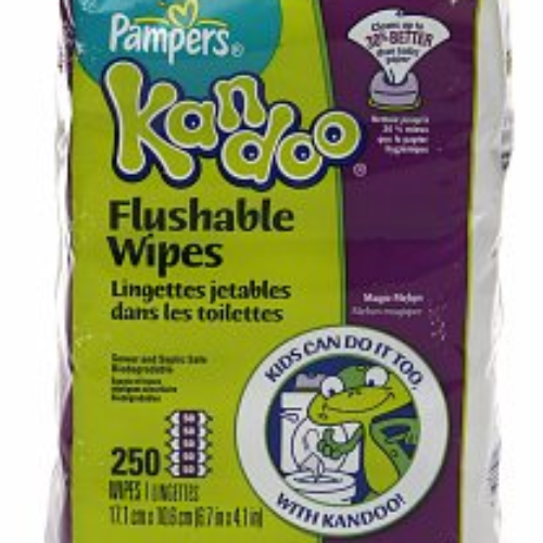 Pampers Kandoo Flushable Wipes Coupon