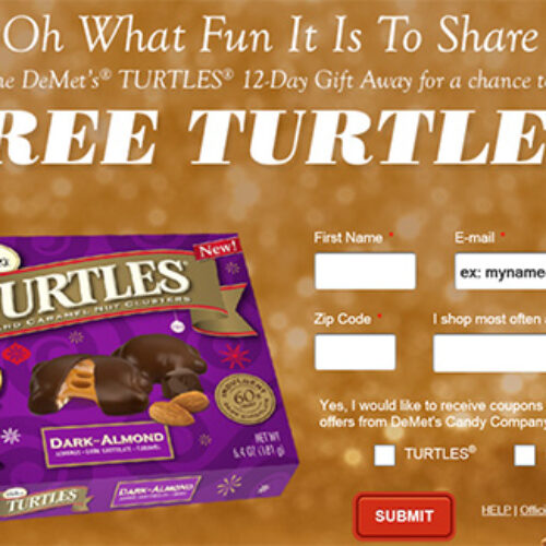 Win DeMets Turtles Chocolates