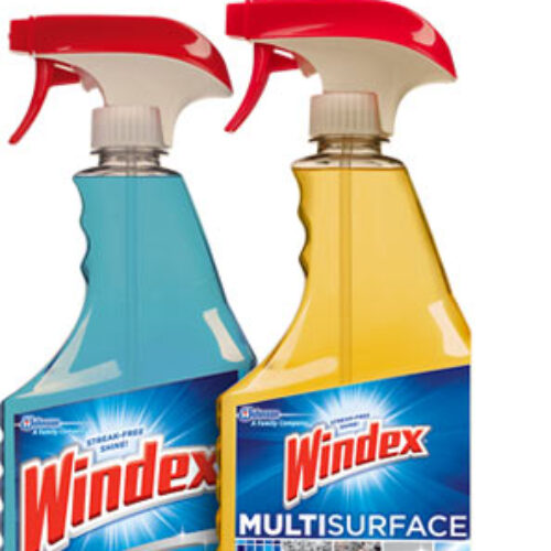Windex Coupon & More