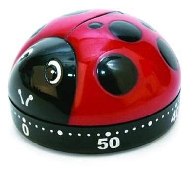 Ladybug Kitchen Timer Just $3.99 (Reg $9.99)