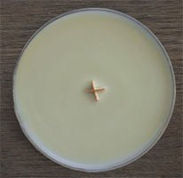 Send a free WoodWick Candle