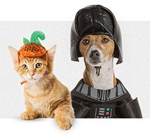 PetSmart: Free Shipping No Minimum