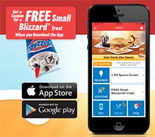 DQ Free Blizzard