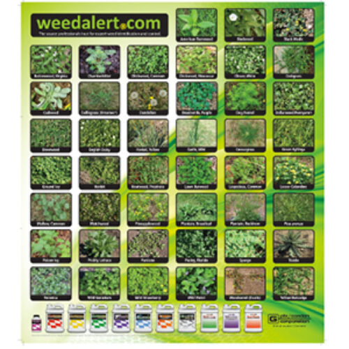 Free Garden Weed ID Poster