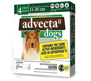 Advecta Coupon