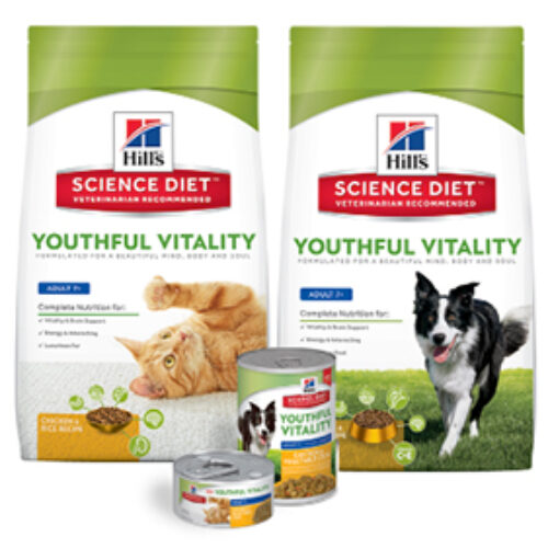 Win a 6-Month Supply of Hill’s Science Diet