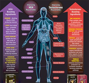 Free Men’s Testosterone Booster Samples