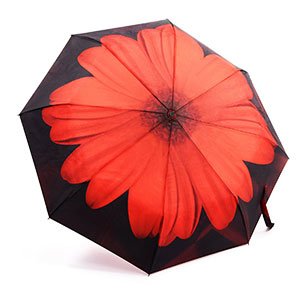Oak Leaf Umbrella Just $11.99 (Reg $25)