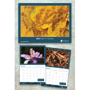 Free 2018 CST Calendar