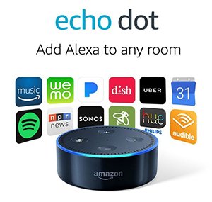 Amazon Echo Dot