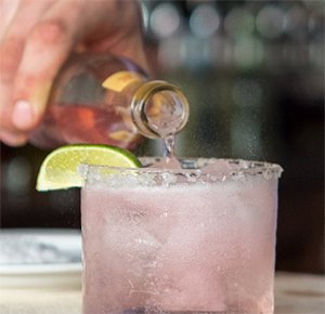 Free Q Mixers Samples