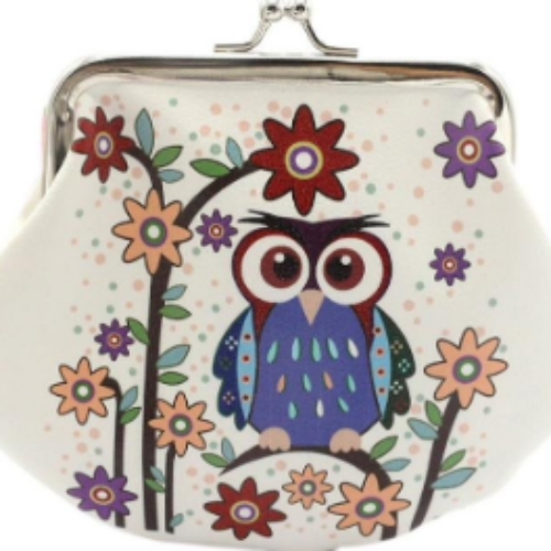 Todaies Retro Style Owl Clutch Just $4.44