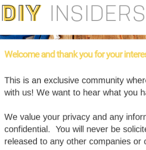 DIY Insiders Panel