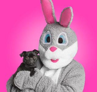PetSmart: Free Easter Photo For Your Dog