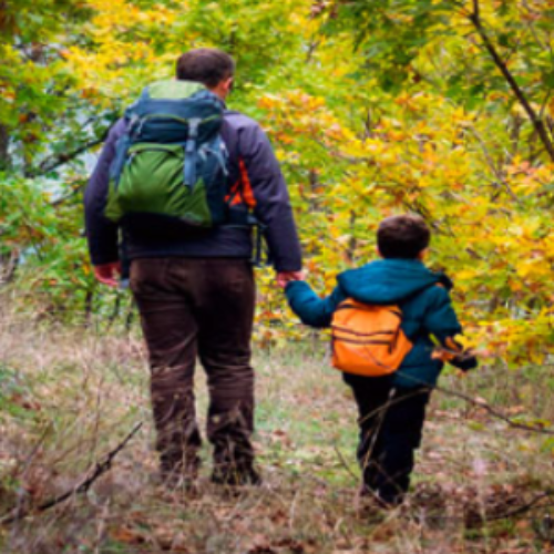 Free Tick Collection Kit « Free 4 Seniors