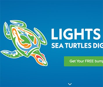 Free Lights Out Bumper Sticker