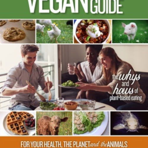 Free Vegan Starter Guide