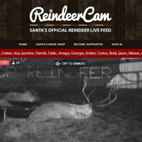 Free Reindeer Cam