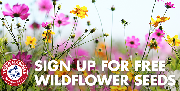 Free Wildflower Seeds from Arm & Hammer
