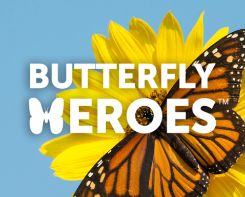 Free Garden Starter Pack