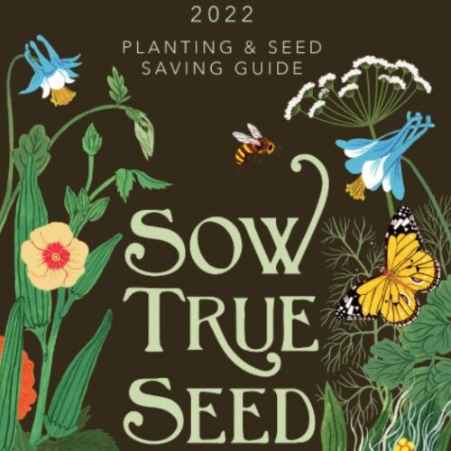 Free 2022 Sow True Seed Catalog