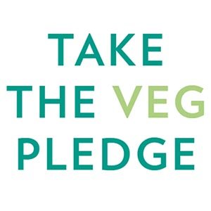 Free HipCityVeg Birthday Cake Shake