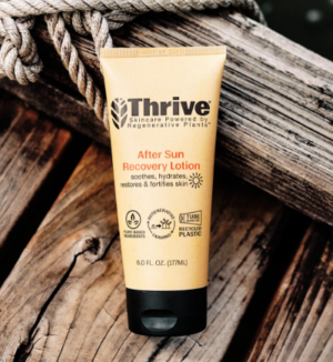 Thrive After Sun Recovery Lotion - Get a Free Sample Now