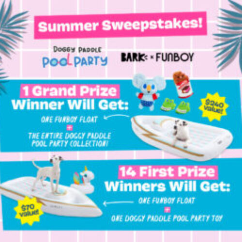 Win Fun Prizes in BARK's Doggy Paddle Pool Party Sweepstakes