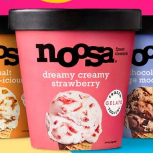 Try noosa's Frozen Yoghurt Gelato for FREE