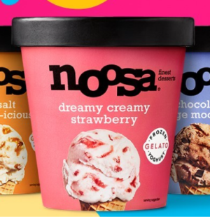 Try noosa's Frozen Yoghurt Gelato for FREE