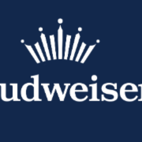 VIP Baseball Experience with Budweiser's Ticket Sweepstakes