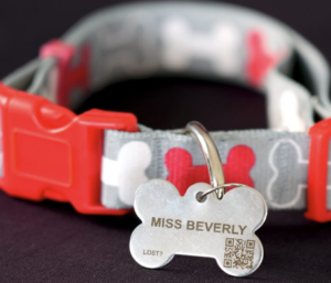 Never Worry about Losing Your Dog Again - Claim Your FREE Fido ID Tag