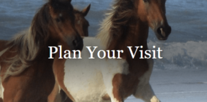 National Park Entrance Days