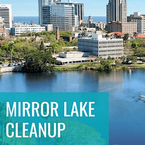 Mirror Lake Cleanup