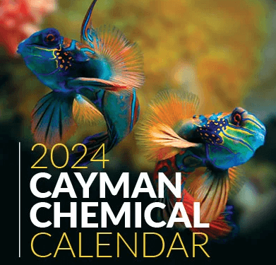 Free 2024 Cayman Calendar