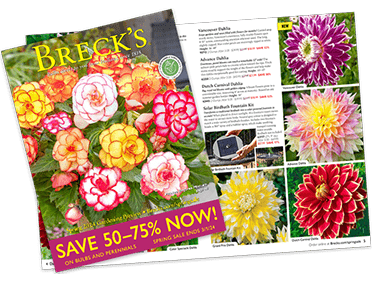 Free Breck's Seed Catalog