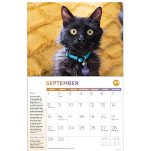 Free 2024 ‘Rescued!’ Calendar from PETA