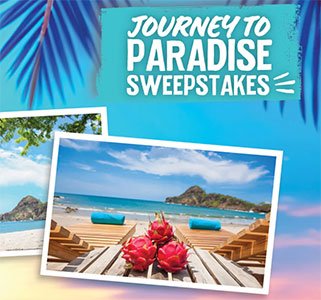 Journey to Paradise