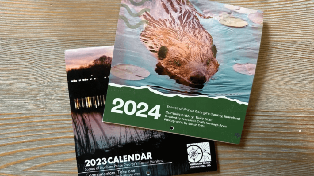 Free B&C Industries Unpacking 2025 Calendar – Free 4 Seniors